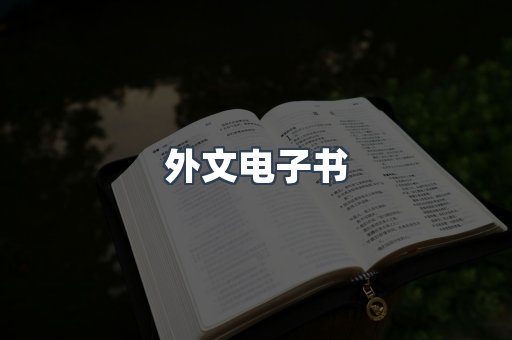 外文电子书